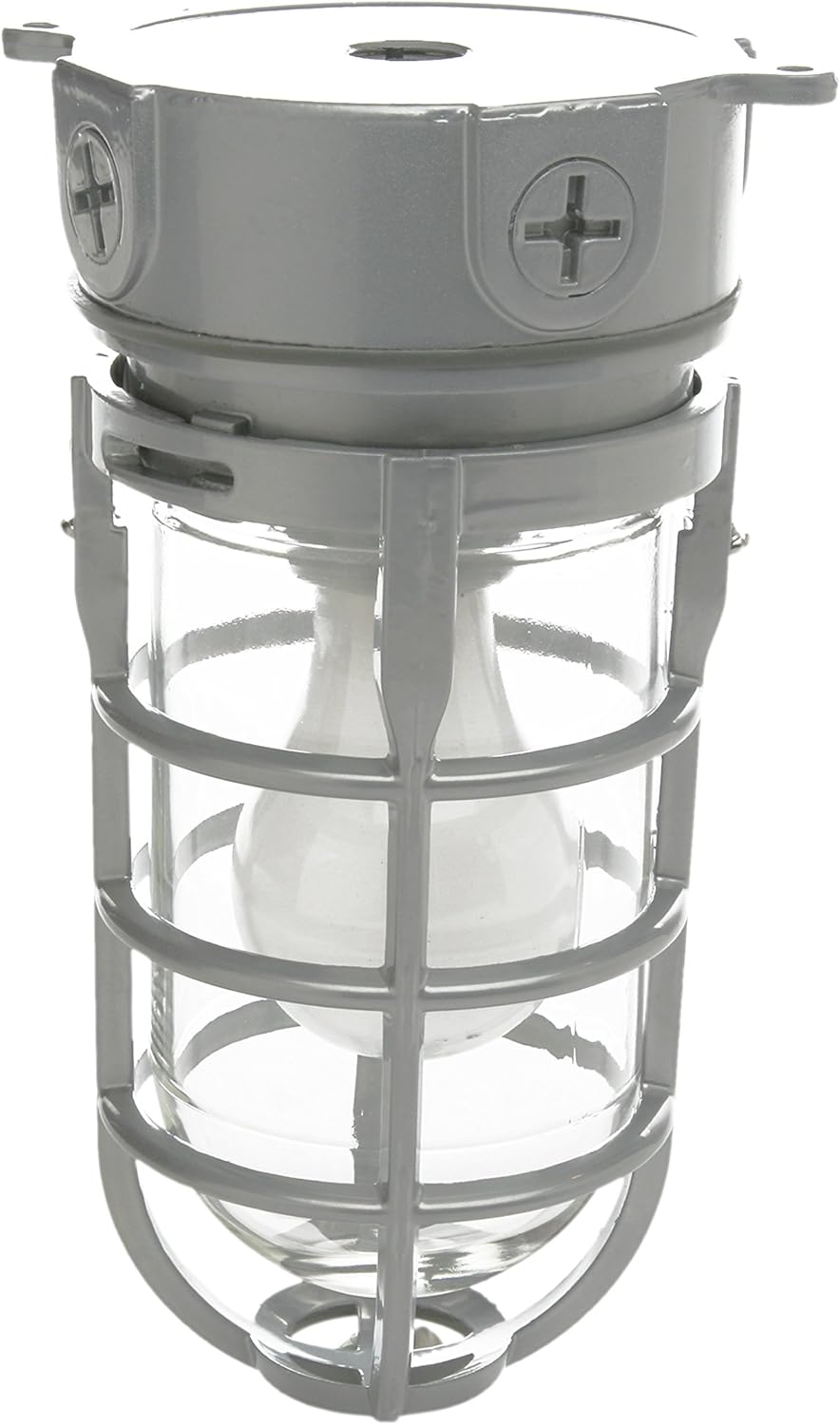 Woods L1706 Vandal Resistant Security Light With Ceiling Mount (150W Incandescent Bulb; Silver)